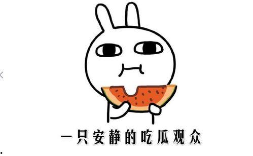 吃瓜新闻是新闻吗,揭秘网络时代的“瓜田”现象