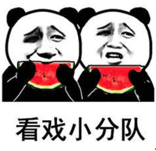 搞笑娱乐吃瓜图片表情包