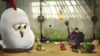 搞笑虫子小鸡,虫界萌宠的欢乐日常